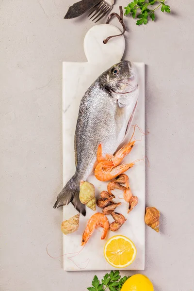 Seafood on grey concrete background — Stock Photo, Image