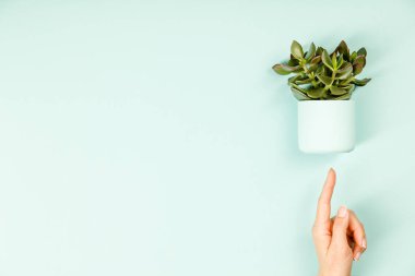 Mavi arka plan üzerinde sulu