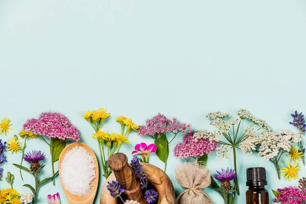 Vad Gyógyító Virágokból Spa Termékekből Álló Virágminta Kék Alapon — Stock Fotó
