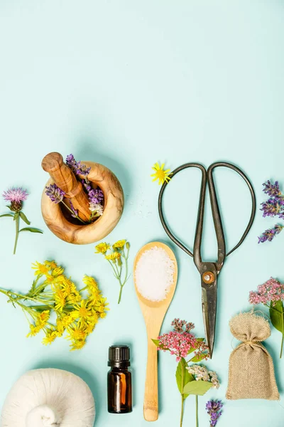 Padrão Floral Feito Flores Curativas Selvagens Produtos Spa Fundo Azul — Fotografia de Stock