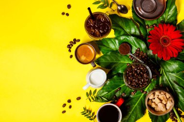 Sarı zemin üzerine çeşitli kahve