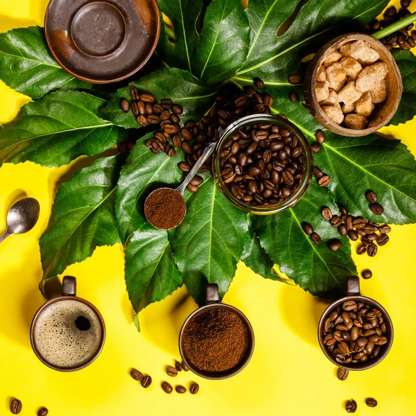 Sarı zemin üzerine kahve kompozisyon