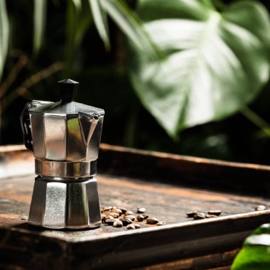 Kahve ve tropikal yaprak arka plan