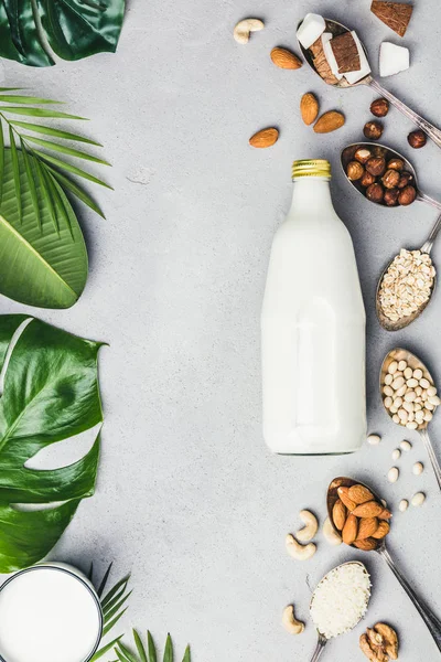 Susu vegan dan bahan — Stok Foto