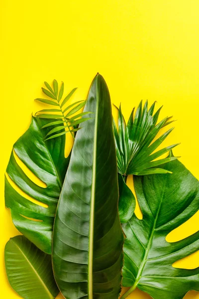 Folhas e flores tropicais sobre fundo amarelo — Fotografia de Stock