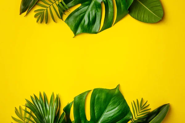 Folhas e flores tropicais sobre fundo amarelo — Fotografia de Stock