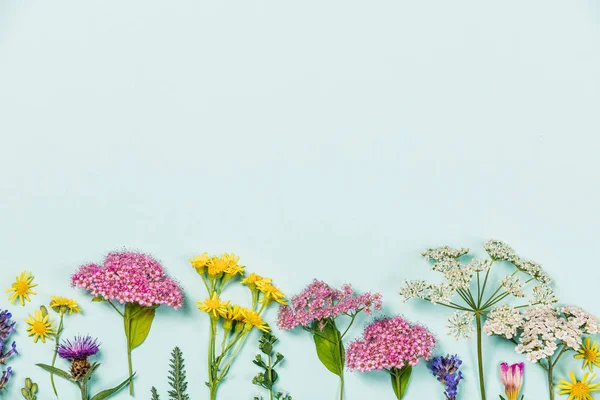 Composición de flores sobre fondo azul con copyspace — Foto de Stock