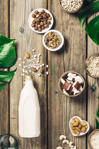 Dairy free milk substitute drink and ingredients — Stock Photo, Image