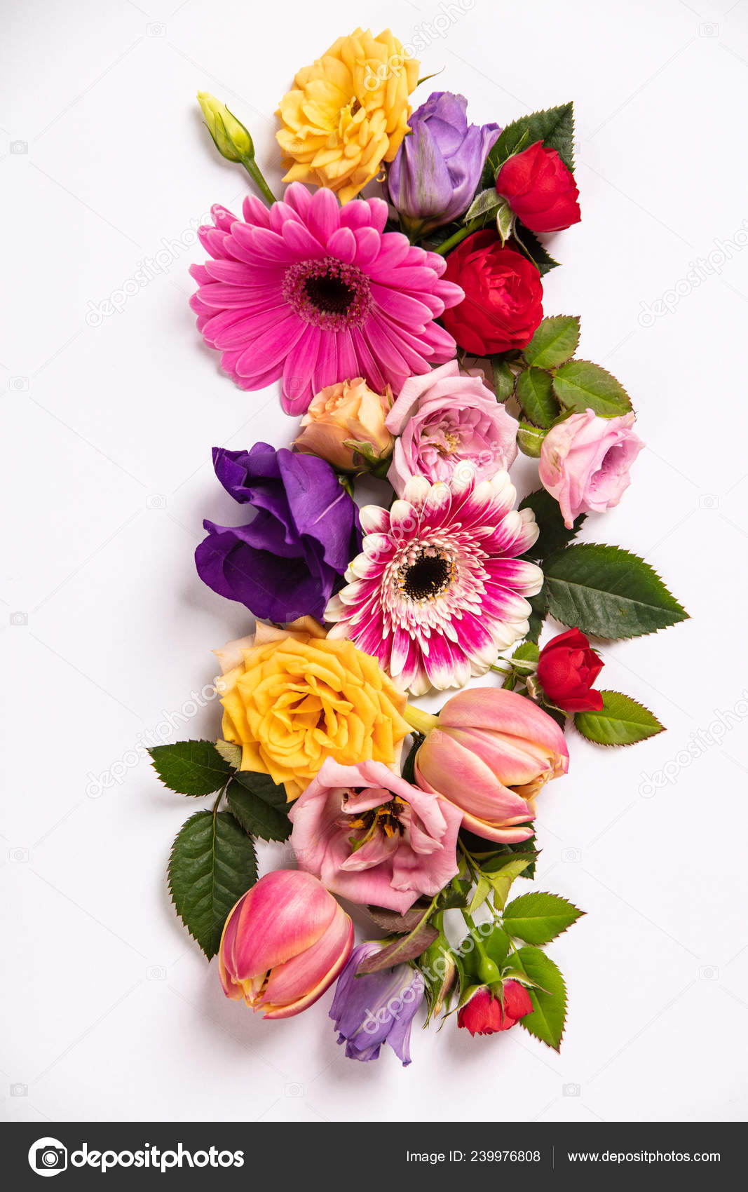 Creative Layout Made Beautiful Flowers White Background Flat Lay Spring  Stock Photo by ©klenova 239976808