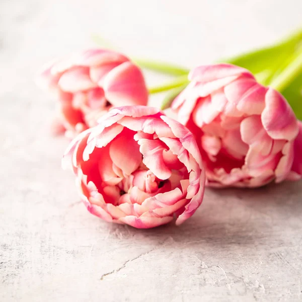 Pastellrosa Tulpen Auf Schäbig Schickem Hintergrund Platz Für Text — Stockfoto