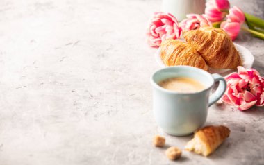 Sabah kahvesi, kruvasan ve açık gri arka planda bahar laleleri, kahvaltı konsepti.