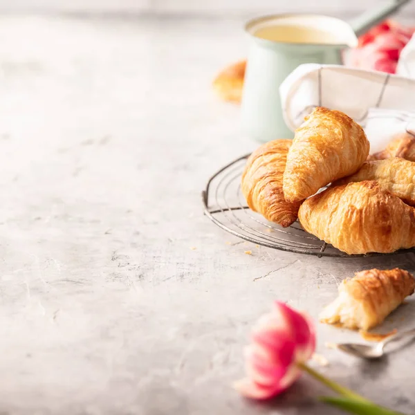 Morning Coffee Croissants Spring Tulips Light Grey Background Breakfast Concept — Stock Photo, Image