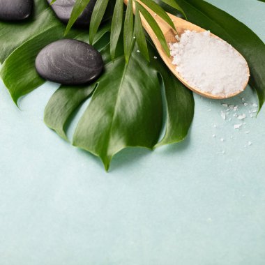 Spa işlemleri için aksesuarlar. Güzellik için doğal malzemeler. Metin için boşluk