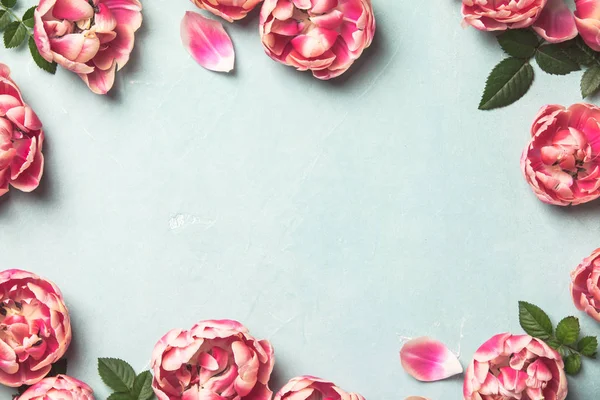 파란색 배경에 아름다운 분홍빛 튤립의 테두리 위쪽시야 꽃무늬의 — 스톡 사진