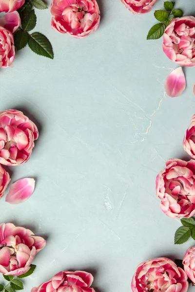 파란색 배경에 아름다운 분홍빛 튤립의 테두리 위쪽시야 꽃무늬의 — 스톡 사진