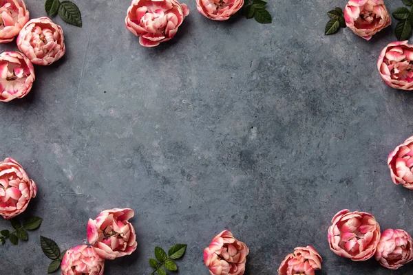 Bordure Belles Tulipes Roses Sur Fond Sombre Chic Pose Plate — Photo