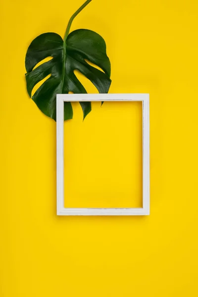 Deitado plano criativo com planta tropical e quadro branco para o seu t — Fotografia de Stock