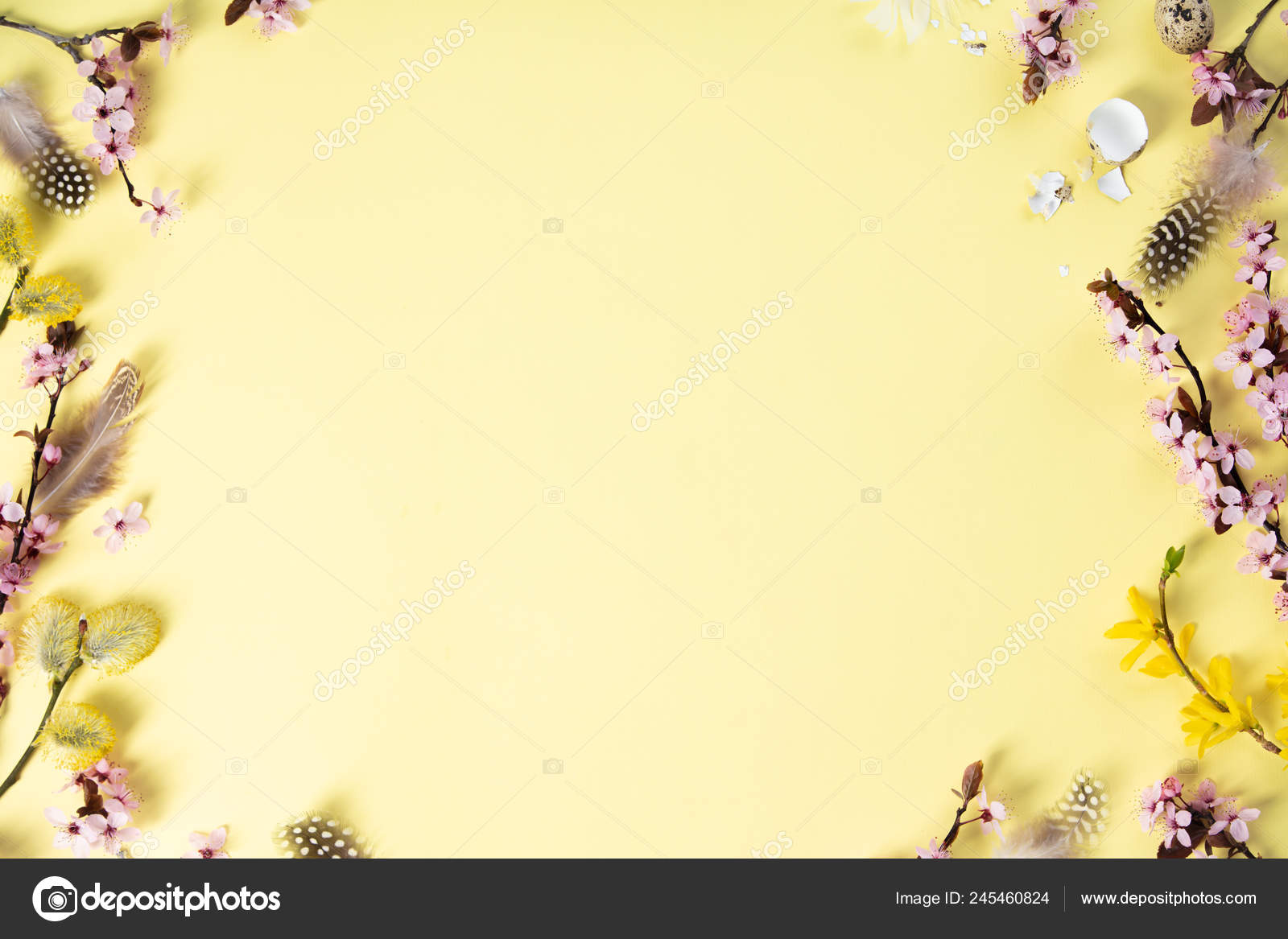 イースター休暇の背景 柔らかい春の桜の花が枝 パステルイエローの背景にウズラの卵 トップビューのフラットレイアウト ストック写真 C Klenova