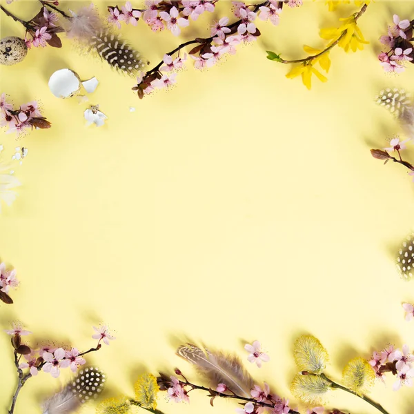 Pasen Vakantie Achtergrond Plat Leggen Van Zachte Lente Kersenbloesem Bloemen — Stockfoto