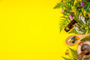 Top vahşi ve şifalı otlar kavramı, düz yatıyordu, görünümü