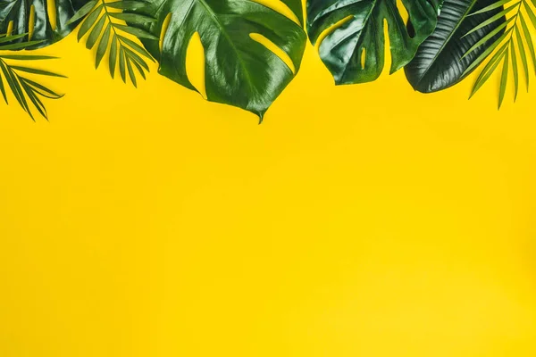 Folhas tropicais em fundo amarelo, espaço para texto — Fotografia de Stock