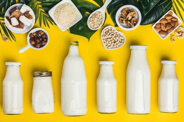 Dairy free milk substitute drinks and ingredients — Stock Photo, Image