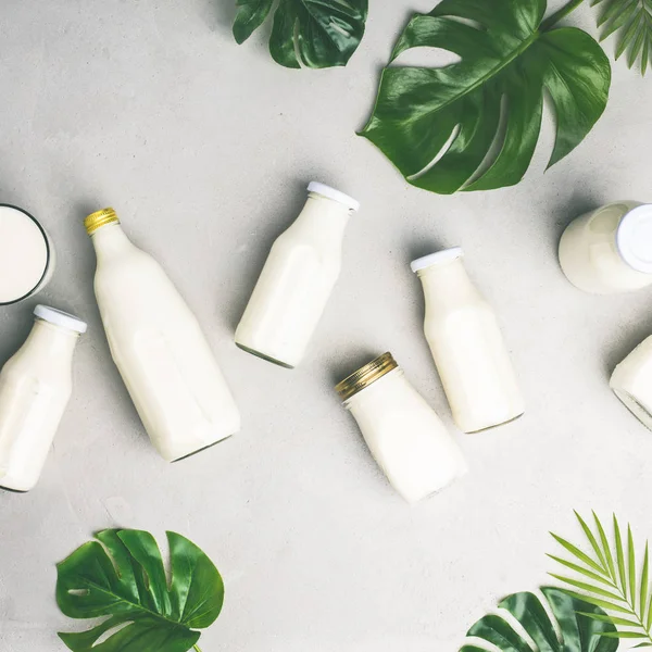 Various bottles of milk and tropical leaves — Stock Photo, Image