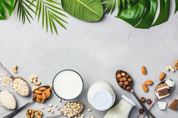 Vegan milk and ingredients on rustic background, flat lay — Stock Photo, Image