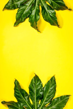 Sarı arka planda tropikal yapraklar