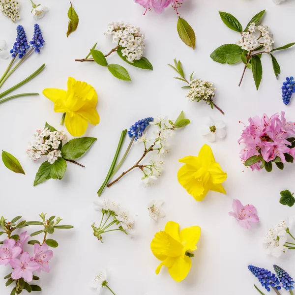 Padrão floral com flores da primavera e folhas no fundo branco — Fotografia de Stock