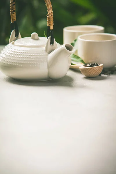 Composición del té sobre el fondo de las hojas tropicales, primer plano — Foto de Stock