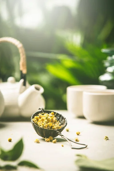 Composição do chá em folhas tropicais fundo, close-up — Fotografia de Stock
