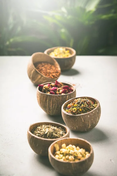 Assortiment voor droge tea in kokosnoot kommen. — Stockfoto