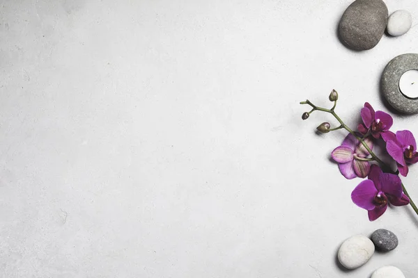 스파 스톤에 아름다운 핑크 오키드 꽃 — 스톡 사진