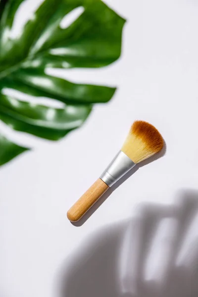 Makeup brush and monstera leaves on a white background — Stock Photo, Image