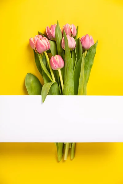 Rózsaszín tulipánok sárga alapon, lapos feküdt — Stock Fotó