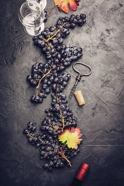 Vinhos com uvas e rolhas sobre fundo escuro — Fotografia de Stock