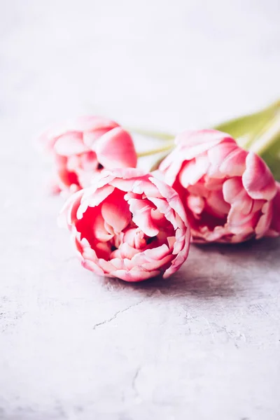 Pastel roze tulpen op shabby chique achtergrond — Stockfoto