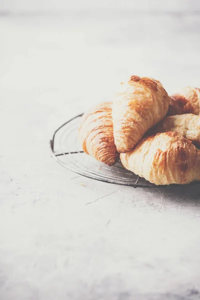 Fresh croissants on light grey concrete background — Stock Photo, Image