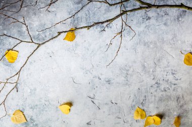 Kurumuş yaprak ve dallardan oluşan sonbahar kompozisyonu.