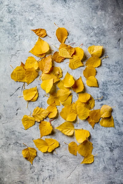 Herfst samenstelling gemaakt van gedroogde bladeren op betonnen achtergrond — Stockfoto