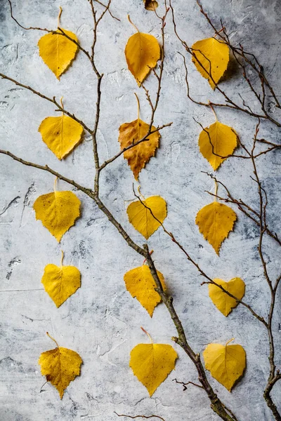 Podzimní složení ze sušených listů a větví. — Stock fotografie