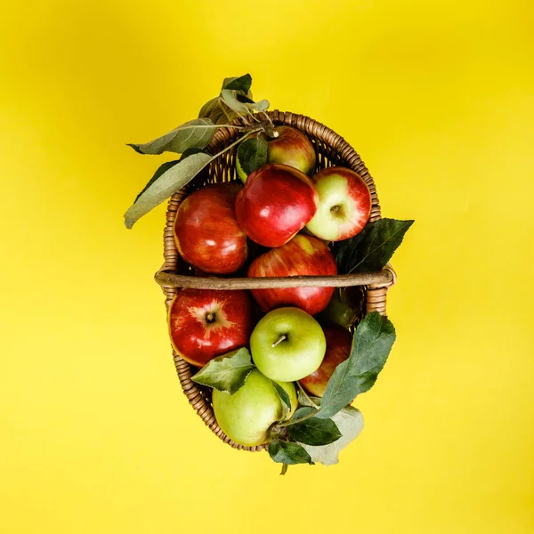 Szerves alma kosárban sárga alapon — Stock Fotó