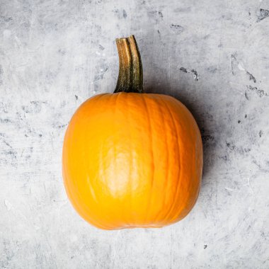 Gri beton arka plan üzerine turuncu sonbahar kabak