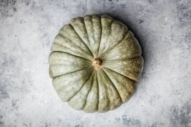 Gri beton arka plan üzerine yeşil sonbahar balkabağı