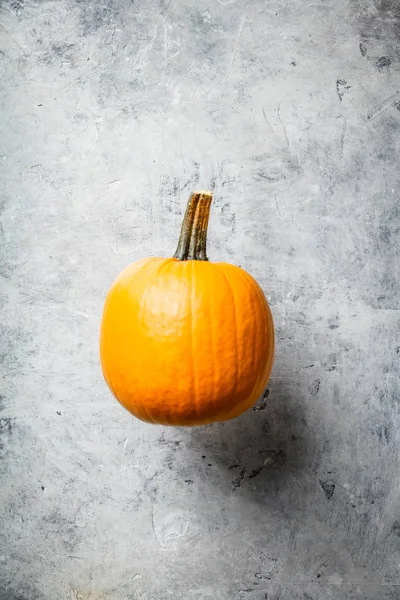 Orange höst pumpa på grå betong bakgrund — Stockfoto