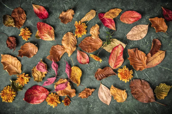 Hojas de otoño sobre fondo verde vintage —  Fotos de Stock