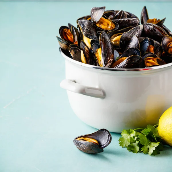 Pot full of steamed mussels on blue background — Stock Photo, Image