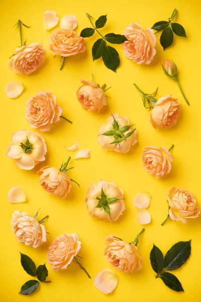 Bloemenpatroon met roze rozen en bladeren op gele achtergrond — Stockfoto