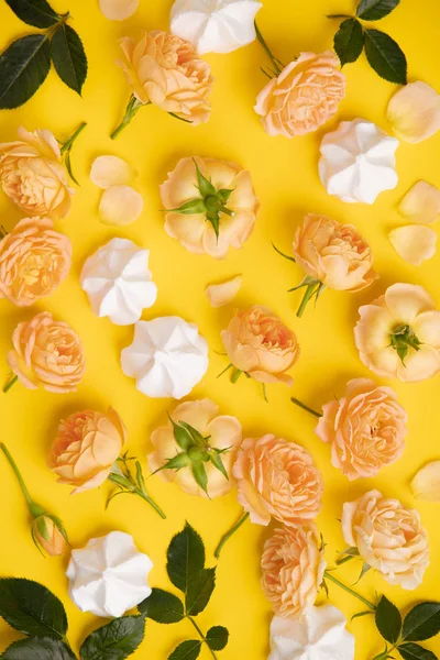 Virágos mintázat rózsaszín rózsával és Merengues sárga háttérrel — Stock Fotó